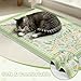 Hedgeink Washable Cat Litter Mat 48