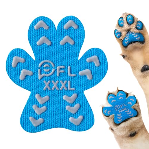 Image of Anti Slip Toe Grips for Senior Dogs on Hardwood Floor, Self Adhesive 48 Pcs