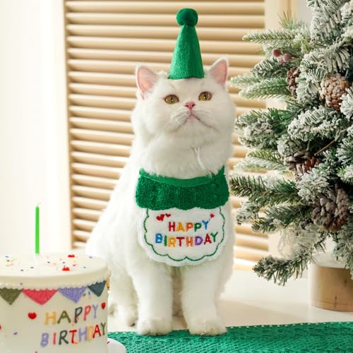 [GIIPET] L aXq 悾^I 2_Zbg ybgpXq X^C ߉\ _炩 t  Be ʐ^ av[g p[eB[ ybg  L o[Xf[ObY