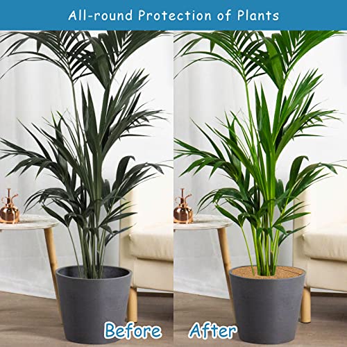 Legigo 4Pcs 24" Dia Coconut Fibers Tree Mulch Ring Protector Mat- Natural Coco Coir Tree Protection Weed Mats For Cypress, Landscaping, Tree Disc Plant Cover, Soil Cover For Indoor Outdoor Plants #TOP4