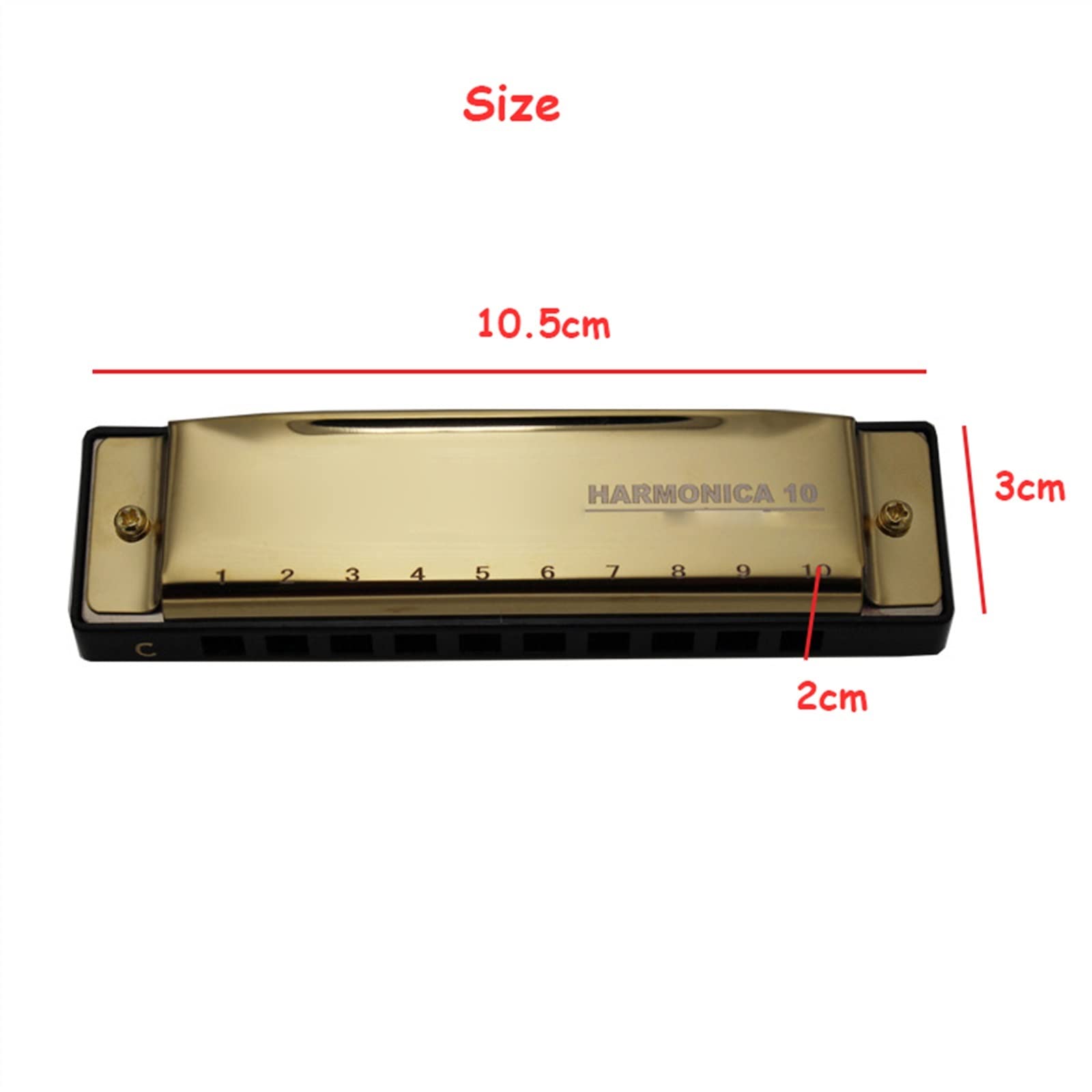 Standard Mundharmonikas 10-Loch Diatonische Mundharmonika Mundharmonika C-Ton Mundharmonika Musikinstrument Mit Koffer (Color : 01)