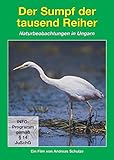 Tierwelt Europas - Vol. 05: Der Sumpf Der 1000 Reiher / Naturbeobachtungen In Ungarn