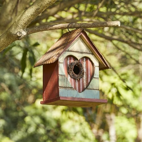 Nichoir en bois robuste contre les intempéries pour petits oiseaux