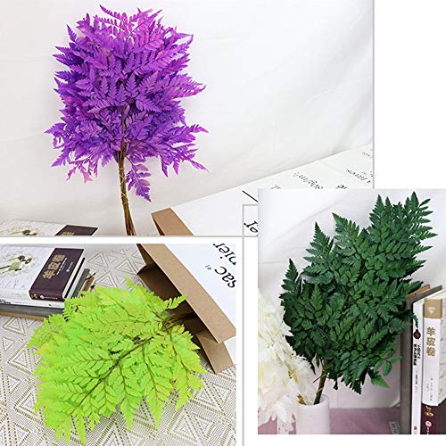 MinLia 10PCS Artificial Boston Fern Bush Plant,Pretty Fiddlehead Ferns,Dry Natural Fresh Preserved Plant,Eternal Dried Arachniodes Leaves(White)