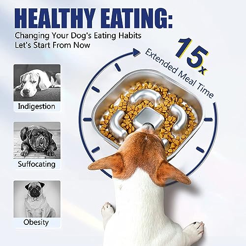 Slow Feeder Hundenapf Einfügung,Anti Schling Napf Anti Choke Große Hundenäpfe Kieselgel Slow Feeder Bowl für Hunde Fressnäpfe für Hunde Zubehör,Entlastet die Verdauung (Hundeteller)