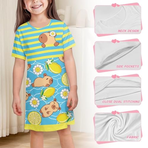 Little Girls Capybara Dress Summer Cute Clothes Home Play Skater Midi T-Shirt Dress for Kids 3-4T Loose Fit4