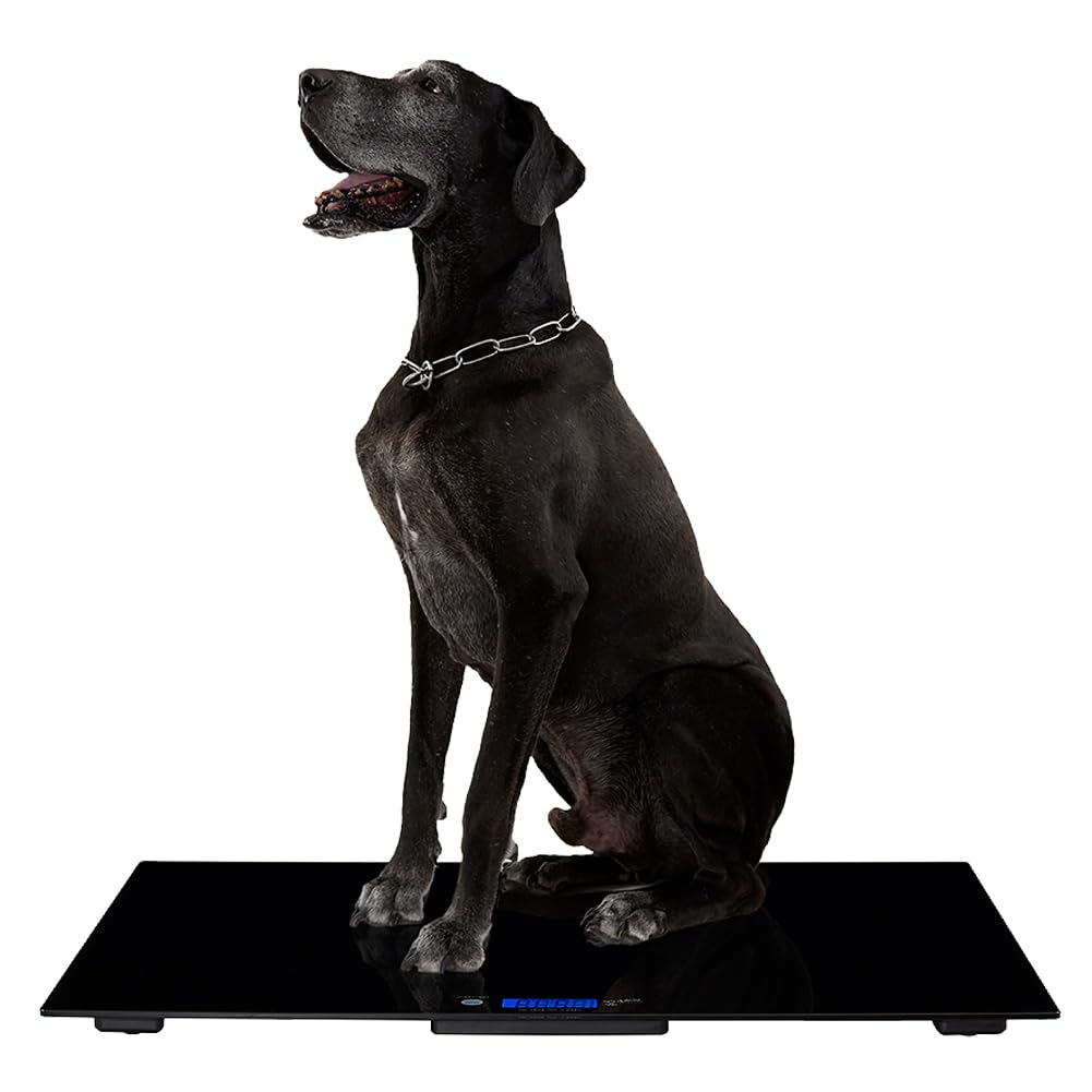 大型犬 ペットスケール ペット君BIG