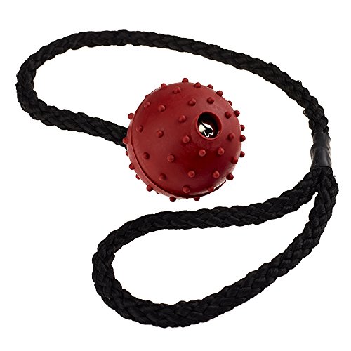 Balle à picots sur corde 50 mm nettoyante pour les dents du chien