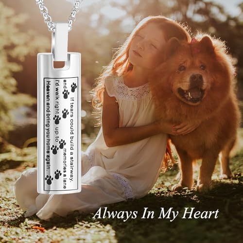 Einäscherung Schmuck Urne Halskette für Asche, Haustier Pfote drucken Memorial Anhänger für Hund Katze Asche Keepsake Medaillon für Männer für Frauen