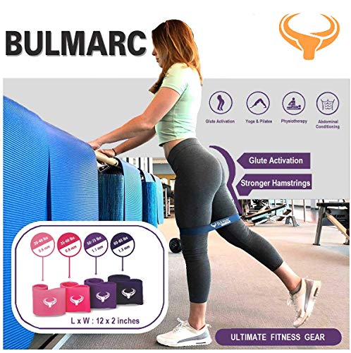 Image of Resistance Bands Mini Loop Exercise Bands Sliding Discs 70+ Exercises eBook Heavy Fitness Workout Men Women Toning Booty Hips Glutes Thighs