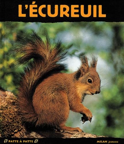 Ecureuil (L') [nouvelle édition] Ledu, Stéphanie
