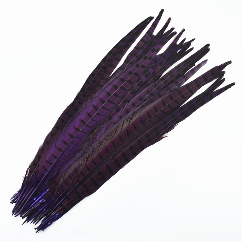 Plumas De Faisán Naturales - 10 Unidades De 25-30 Cm Para Manualidades, Disfraces Y Decoración