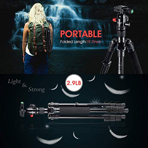 MACTREM Tripod DSLR SLR Tripod, 62.5" Light-Weight Aluminum Alloy Camera Tripod Phone Tripod with Phone Holder, 360 Degree Ball Head, Detachable Monopod, 34lbs Load with Carry Bag, Black - Thumbnail 5