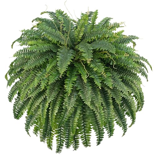 FOREST PRINCE 50' Artificial Boston Ferns, Fake Bush Plants, Large Faux Ferns with 96 Fronds for Outdoors Home Decor
