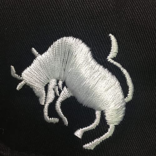 Image of Men Women Baseball Caps Constellation Zodiac 12 Snapback Hats