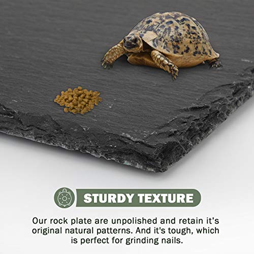 image for dojobkinb 11.8