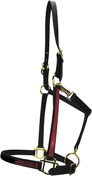 Country Pride 2-Tone .75 inch Beta Halter