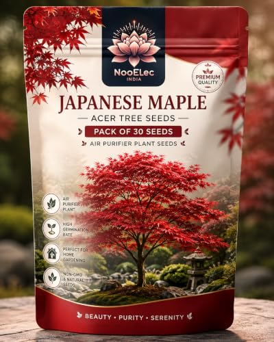 Image of Japanese Maple Acer Tree Seeds, Air Purifier Plant - Grow Indoor /Outdoor