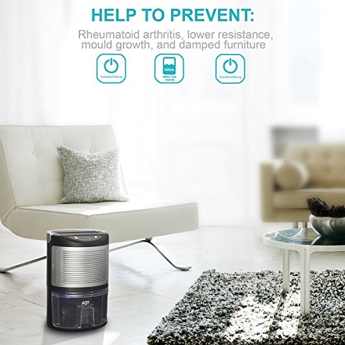 Deumidificatore,AQV 1000ml Mini Portatile Tenuto