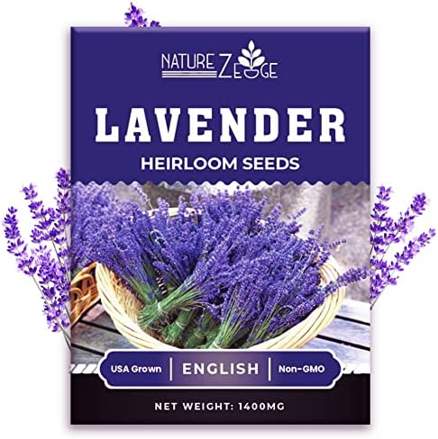 English Lavender Seeds for Planting Indoors or Outdoors, 90% Germination, to Give You The Lavender Plant You Need, Non-GMO, Heirloom Herb Seeds