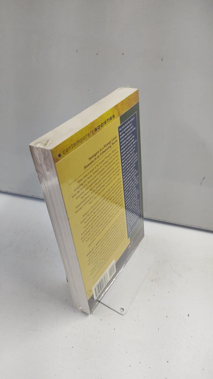 Strangers in a Strange Land: Humans in an Urbanizing World (Contemporary Societies Series) - Image 2