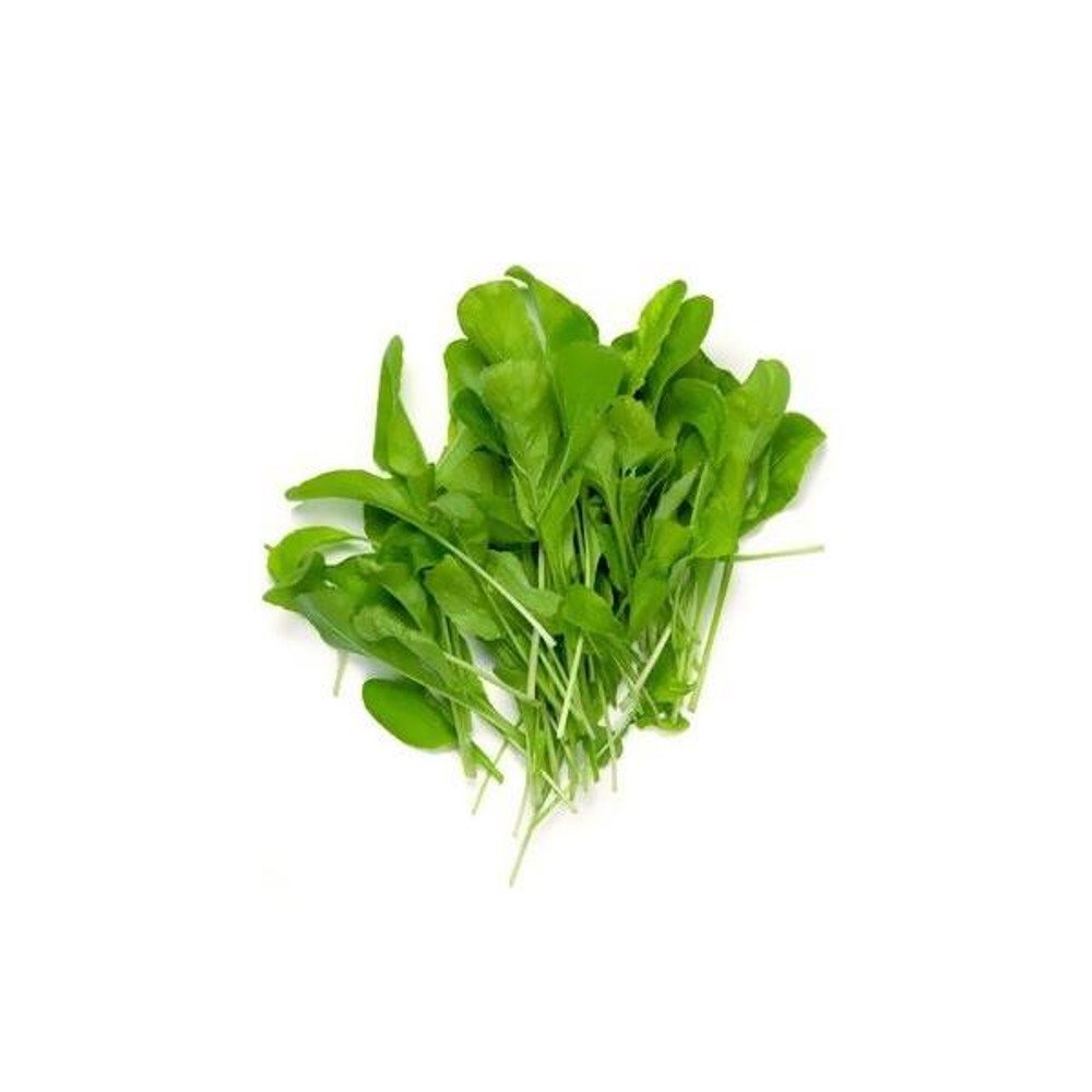 Spinach Microgreens Seeds, Palak Microgreens Seeds Pack of 100gm by AllThatGrows (B072JMJ44P) Amazon Price History, Amazon Price Tracker
