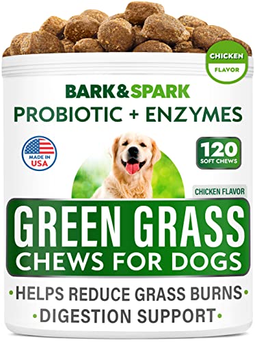 All-Pure Grass Burn Spot Chews for Canines – Pee Garden Spot Saver – Grass Restore Treats – Canine Urine Neutralizer Answer for Grass Burn Spots – Made in USA – 120 Chews