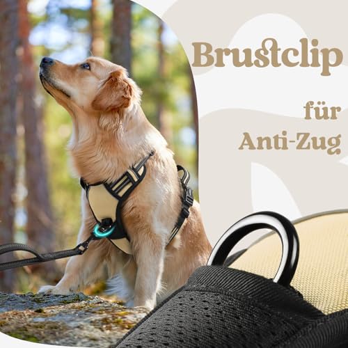 rabbitgoo Hundegeschirr Kleine Hunde, Verstellbare Geschirr Hund ohne Zug & Würgen, Anti Zug hundegeschirr mit Griff, weich Gepolsterte Reflektierende Brustgeschirr, Beige M