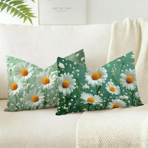 Funda Cojin 40x60 Juego 2, Verde Cojines Exterior Jardin Impermeable Terciopelo Fundas de Almohada, Margarita Cojines Cama Decorativos, para Primavera Decorativos Salón Dormitorio, Regalos D-119
