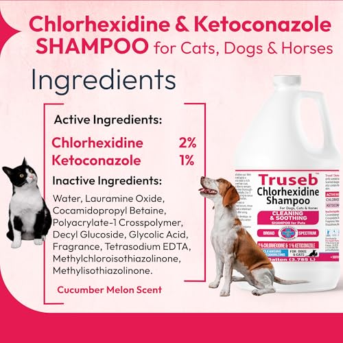 Truseb Topical Ketoconazole and Chlorhexidine Shampoo for Dogs, Cats & Horses Pleasantly Scented with a Cucumber Melon Scent with Aloe (Ketoconazole & Chlorhexidine Shampoo, 1 Gallon) - Image 3
