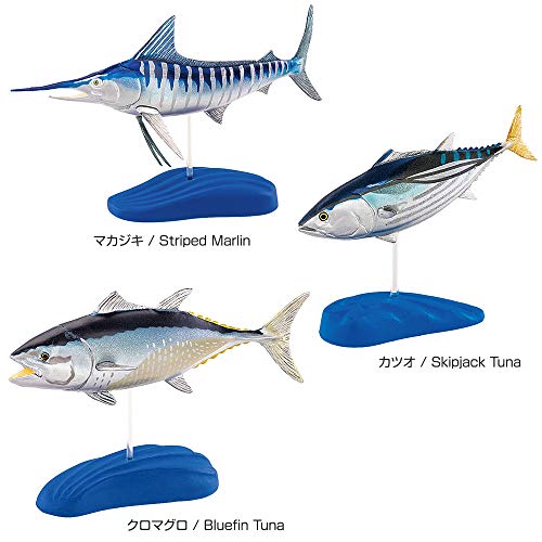 シラウオ さっぱり食べたい季節感抜群の春告魚 さかなのさ 魚美味探求