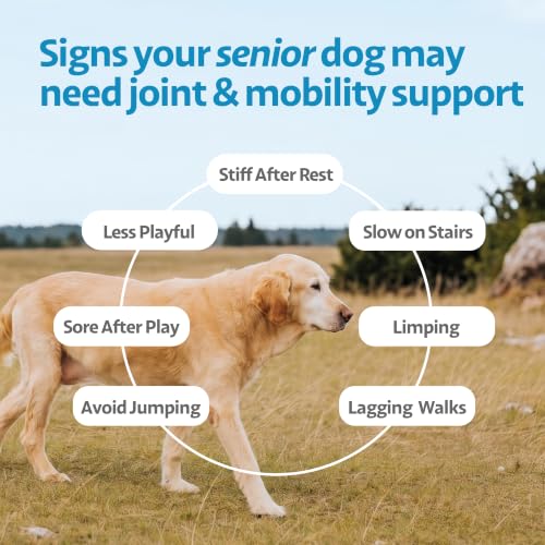 Ayourpets Hip and Joint Supplement for Dogs with Stiff Joints, Arthritis & Mobility – Natural Boswellia, Ashwagandha & Turmeric Ayurvedic Herbal Support – Pork Flavor – 90 Count — view 4