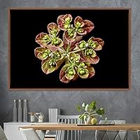 Framed Canvas Wall Art Flora Snapshot Closeup Dark Expressive Farmhouse/Country Floral Multicolor Photography Realism Single - 16x24 inches