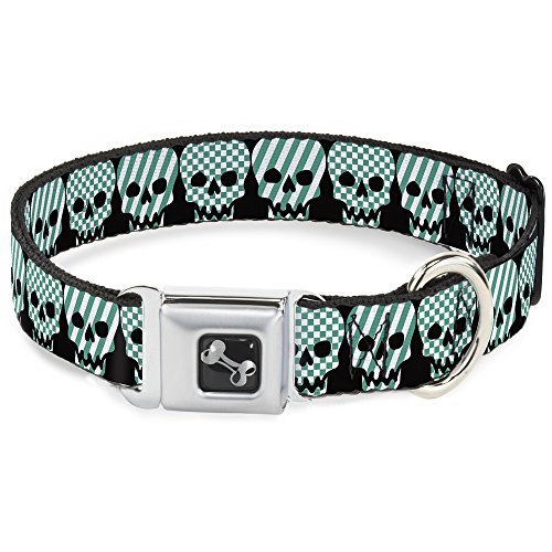 Collier chien boucle ceinture sécurité 3.8cm large robuste