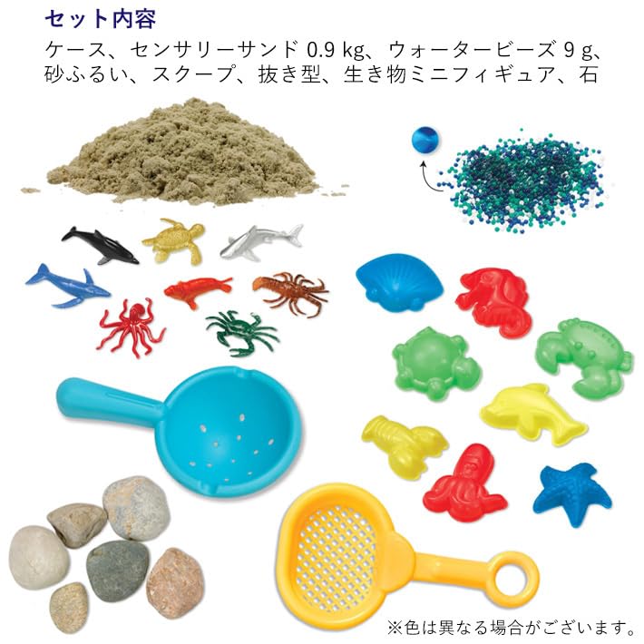 Amazon.co.jp: センサリービン オーシャン ＆ サンド セット Sensory