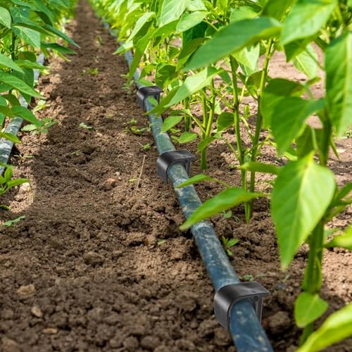 Hydrogarden 50k Gartenschlauch Anker Boden Befestigungsanker für Tropfschlauch Perlschlauch Steckgabel für 1/2 Zoll OD-Schläuche Garten Rasen Patio Schwarz