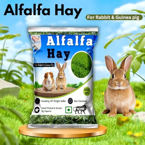 Image of Sage Square Alfalfa Hay - Protein, Calcium-Rich Hay for Rabbits, Guinea Pigs, Hamsters & Small Animals | Supports Growth, Healthy Teeth, Digestion | Sun-Dried, Hand-Selected Alfalfa Feed | 400 gm