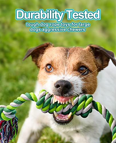 Robust Chew Toy Bundle