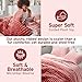 Intelligent Design Queen Comforter Set, Plush Bedding, Microfiber Reverse, 3 Piece, Lightweight, Super Soft Ribbed Velvet Comforter 2 Shams, All Season Fluffy Bed Set, Avril, Full/Queen Blush Ombre