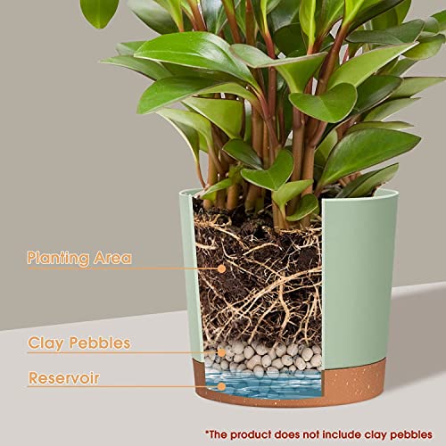 LATERN 3Pcs Self Watering Plant Pots - Image 2