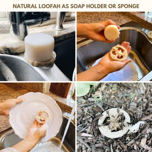 Image of rE: Plastic Free Kitchen Gift Set for dishwashing | Dish Soap Bars (2 pcs), Hemp Scrubbers (3 pcs), Loofah Slices (2 pcs), Pop Up Sponges (2 pcs) (Original & Citrus)