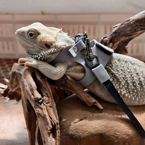 Image of 3 Pack Bearded Dragon Harness and Leash Set- Adjustable Soft Leather Reptile Harness with Retractable Leash for Small Animal Escape-Proof Design for Lizard Squirrel Sugar Glider (Grey)