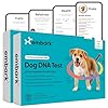 Embark breed health kit 2 pack dog dna test discover breed ancestry relative finder genetic health traits coi  urban country home decor