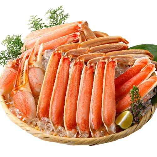 �N�x�̋S ���H�� ������ �v���~�A�� ���킢���� 1�s �������� �I ���� �J�j �� ���ɂ����