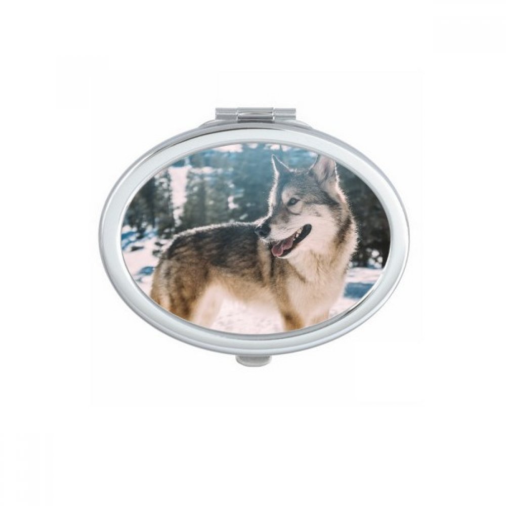 Miroir portable ovale résout le manque de visibilité pour maquillage sac