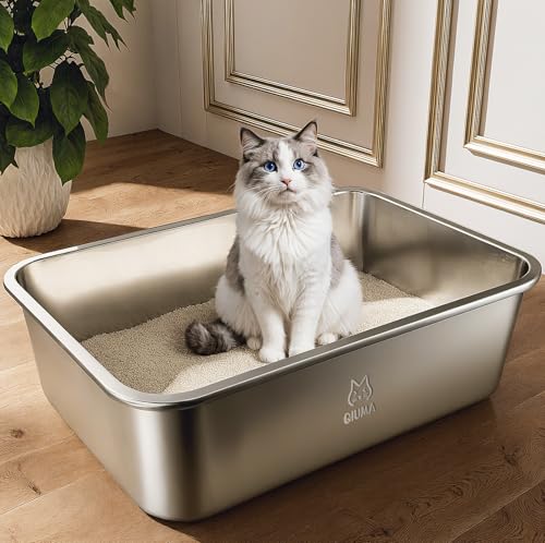 Qiuma Stainless Steel Litter Box, Metal Cat Litter Box with High Sides, Odor-Free, Non-Stick, Easy to Clean, 17.5'×13.6'×5.9', Ideal Size for Small to Medium Cats, Litter Tray