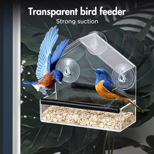 Miawtro 2 Pcs Window Bird Feeder - Image 2