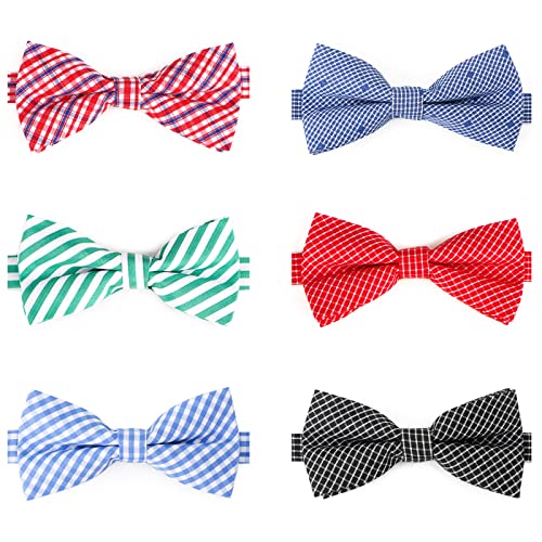 JUNENTER qplN^C 10 plN^C oNzf[ Lp O[~OplN^C ybgʐ^Be tFXeBo p[eB[ pMtg L[gŃ`FbN