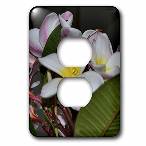 Cache-prise 2 fleurs hawaïennes 3dRose LSP_59180_6 pour interrupteur mural - 2