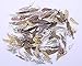 Kinteshun Assorted Angel Wings Feathers punk Charm Pendant Connector for DIY Jewelry Making Findings(100pcs,Assorted Colors)